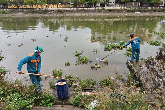 TP Hải Dương hỗ trợ thu gom cá chết trên sông