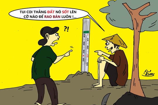 Hóng "sốt đất"