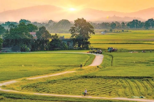 Xóm cũ vấn vương