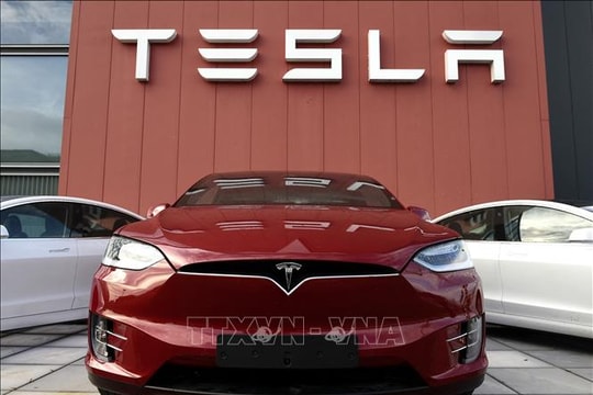 Mexico triệu hồi hơn 4.000 xe điện Tesla do lỗi phần mềm