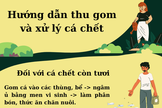 Hướng dẫn thu gom và xử lý cá chết