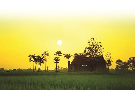 Ngày tháng tư vàng nắng
