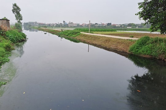 Một số đoạn kênh Đò Cậy - Tiên Kiều ở Cẩm Giàng bốc mùi hôi thối