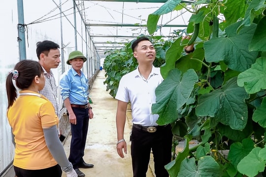 Gia Lộc nhiều nhà màng, nhà lưới nhất tỉnh Hải Dương