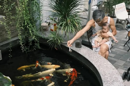 Nỗi khổ "cha già con cọc"