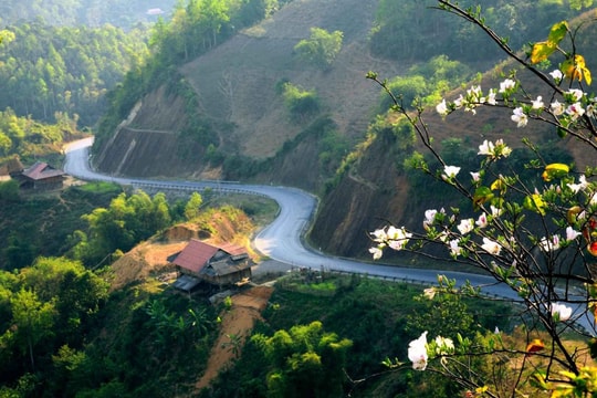 Điện Biên mùa ban