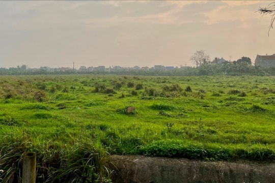 Tránh kiểu lãnh đạo chậm chạp, chung chung