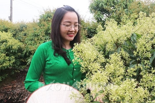 Nắng tháng tư
