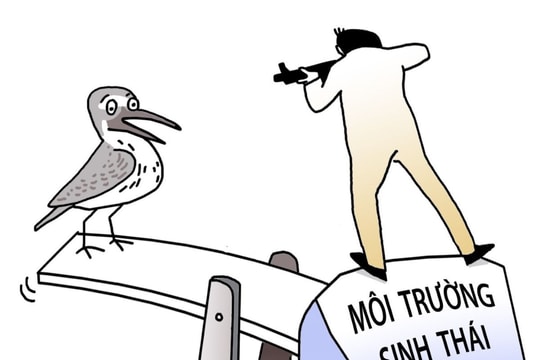 Tự tay hủy hoại môi trường