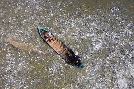 Vietnam’s fishery industry - A spearhead economic sector