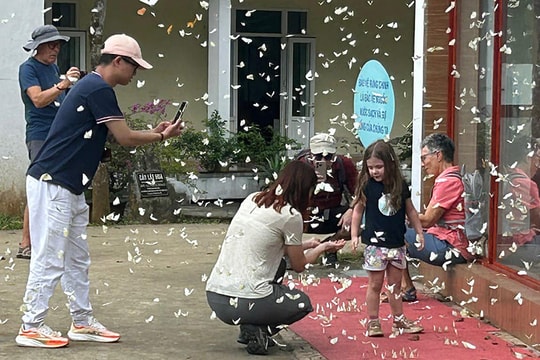 Hàng nghìn du khách đổ về Cúc Phương đầu mùa bướm