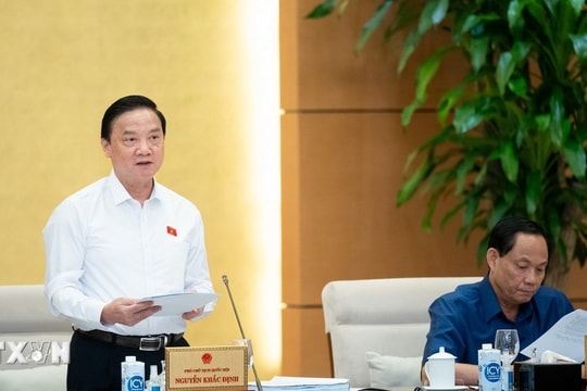 Điều chỉnh đồng bộ các biện pháp, hình phạt đối với người chưa thành niên