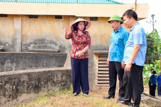Ninh Giang cần tiếp tục quyết liệt xử lý vi phạm công trình thuỷ lợi