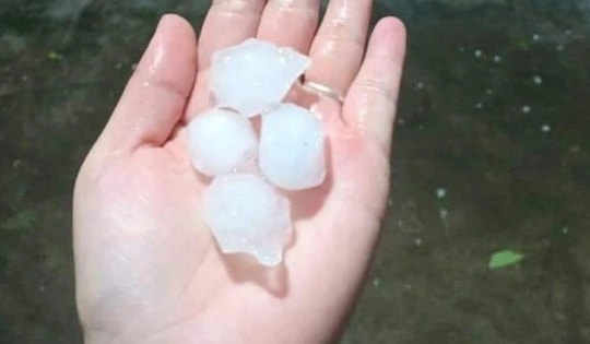 Hà Nội bất ngờ xuất hiện mưa đá to, dông lốc rất lớn nhiều cây gãy đổ
