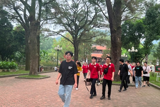 Những cây thông trăm tuổi ở chùa Côn Sơn
