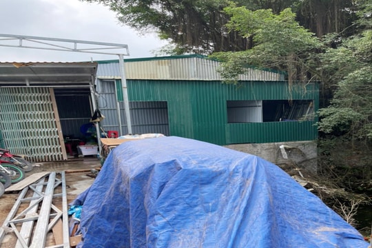 Ông Trương Đình Vương dựng thêm lán vi phạm công trình thủy lợi ở xã Đoàn Thượng (Gia Lộc)