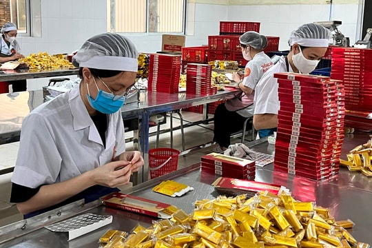 Hai Duong strengthens intellectual property protection for OCOP products