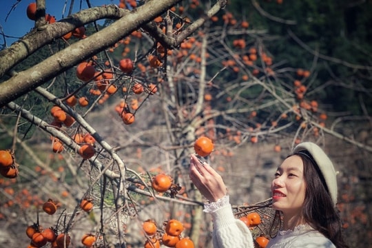 Cơ hội mới cho Mộc Châu khi được công nhận là Khu du lịch quốc gia