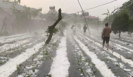 Mưa đá "chưa từng có" phủ trắng núi đồi ở Sơn La, Hòa Bình