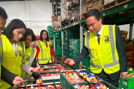 Hai Duong looks to boost trade and investment from New Zealand