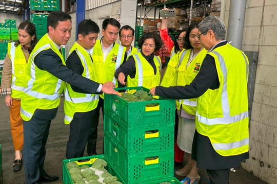 Chủ tịch UBND tỉnh Triệu Thế Hùng xúc tiến thương mại và đầu tư tại New Zealand