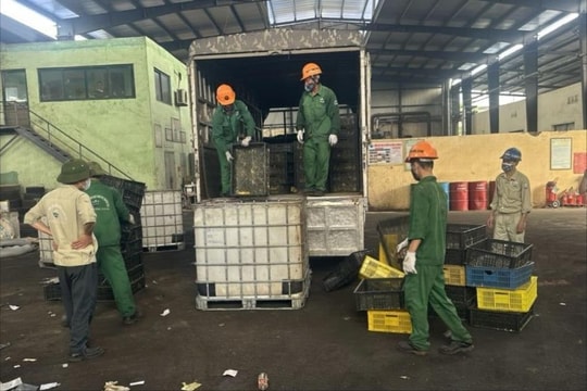 Tiêu hủy 10.000 con vịt giống của một người ở Ninh Giang mua qua mạng