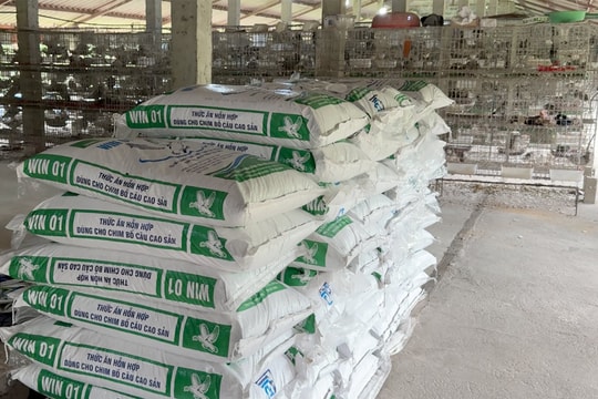 Cám thảo dược mang lại hiệu quả kinh tế cao