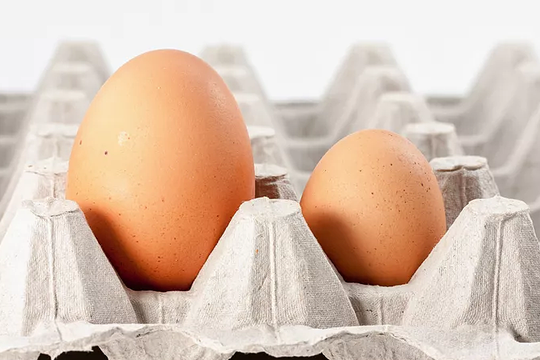 Nên chọn mua trứng gà quả to hay nhỏ?