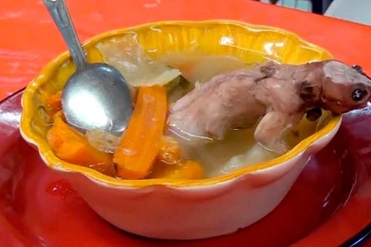 Tiệm ăn ở Mexico bán nước canh chuột trong hơn nửa thế kỷ