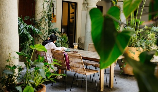 Du khách không thích những điểm du lịch làm môi trường xấu đi