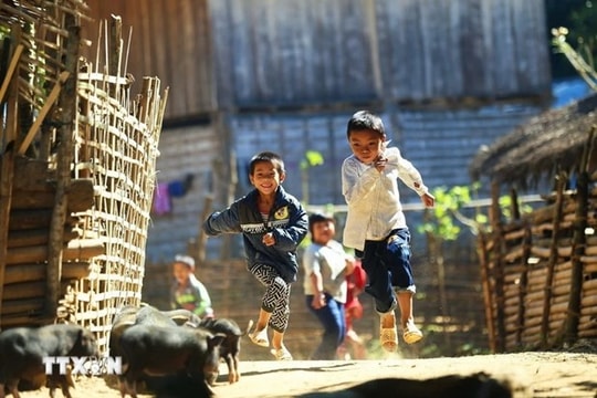 Vietnam’s human rights efforts recognised by international community