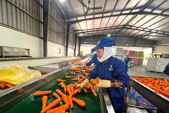 Hải Dương có 14 sản phẩm, nhóm sản phẩm chủ lực, đặc thù, có lợi thế cạnh tranh