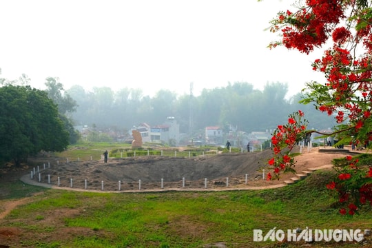 Trước đồi A1 Điện Biên