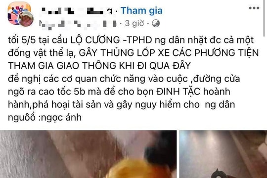 Thực hư chuyện “đinh tặc” trên cầu Lộ Cương làm nhiều xe bị thủng lốp