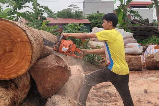 Tai nạn lao động "rình rập" ở làng mộc Đông Giao