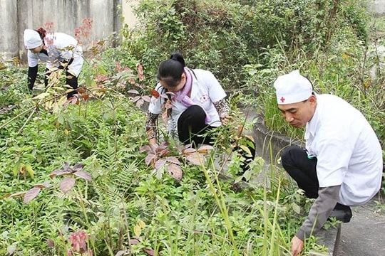 Bảo vệ đa dạng sinh học dưới cái nhìn của lợi ích dược liệu