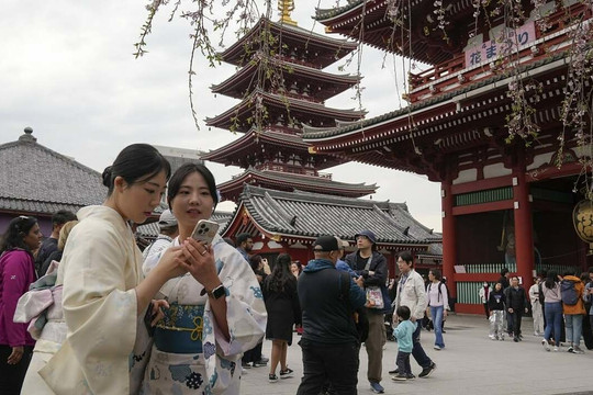 Tour chuyên nói dối hút khách ở Tokyo