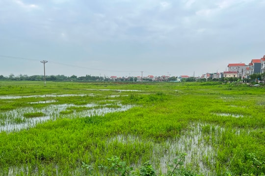 TP Hải Dương đã giải phóng mặt bằng hơn 99% diện tích dự án khu dân cư mới xã Quyết Thắng