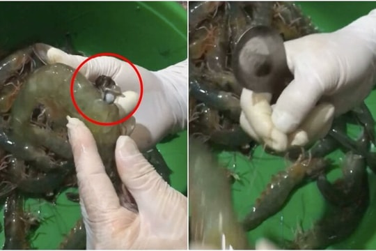 Cách loại bỏ đường chỉ tôm không cần tăm