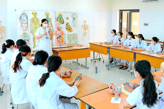 Lao động sang Nhật Bản làm điều dưỡng, hộ lý sẽ nhận mức lương cao