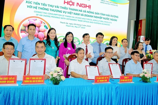 Hải Dương xúc tiến xuất khẩu, tiêu thụ vải thiều Thanh Hà và nông sản