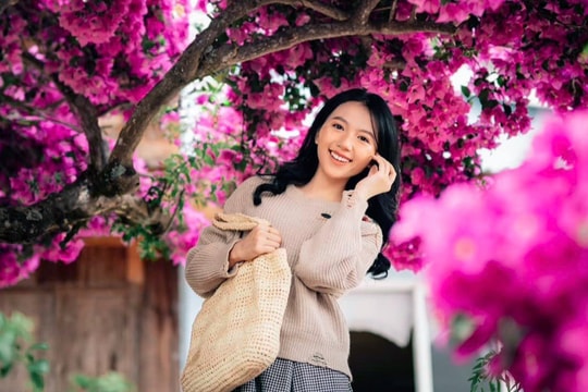 Cây hoa giấy 35 tuổi hồng rực cả khoảng sân, khách tìm tới săn ảnh "nghìn like"
