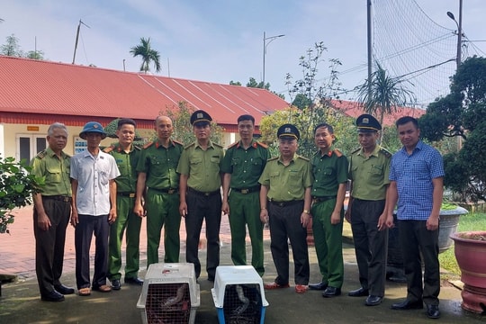 Trại tạm giam Công an tỉnh Hải Dương phối hợp bàn giao 2 cá thể trăn hoang dã