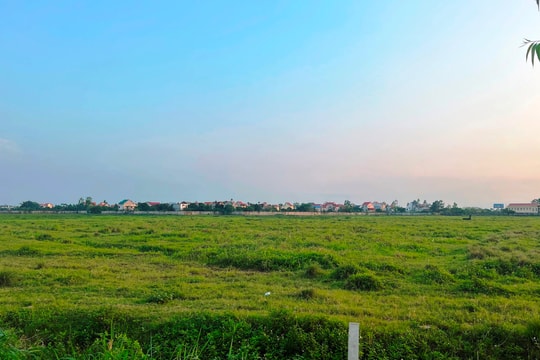 UBND tỉnh Hải Dương xem xét thu hồi gần 35 ha đất của Công ty CP Vinamit ở phường Ái Quốc và Nam Đồng