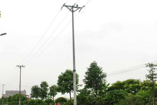 Kinh Môn còn 16 điểm vi phạm hành lang an toàn lưới điện cao áp đặc biệt nguy hiểm