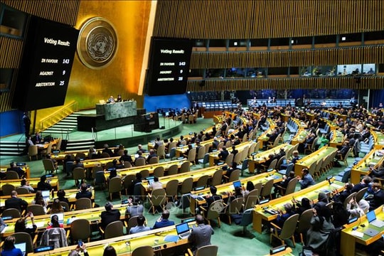 Ngoài Mỹ và Israel, 7 quốc gia cũng phản đối Palestine làm thành viên liên hợp quốc chính thức