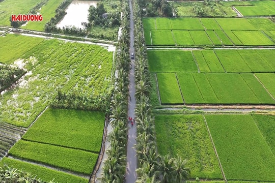 Nét quê Tiên Động