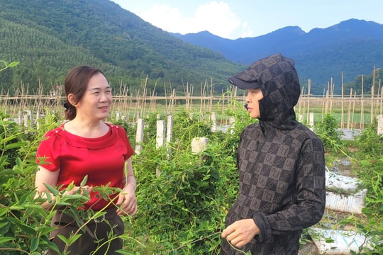Đồng hành giúp phụ nữ người dân tộc thiểu số xóa nghèo