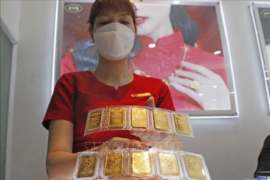 Giá vàng SJC tiếp tục tăng đến 800.000 đồng, tỷ giá đi ngang