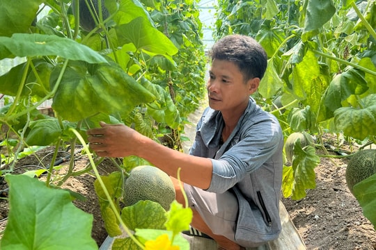 Hải Dương làm theo Bác bằng những việc cụ thể